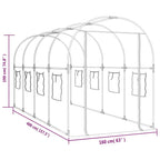 Invernadero PVC acero pintado polvo transparente 160x400x190cm