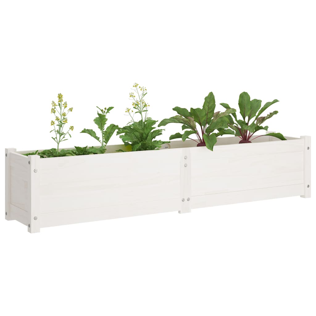 Arriates de madera maciza de pino 2 uds blanco 150x31x31 cm