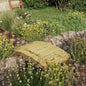 Garden bridge solid impregnated pinewood 110x74 cm