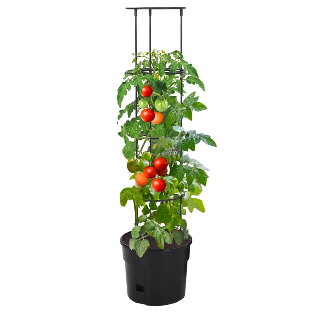 Macetero para tomates polipropileno antracita Ø29,5x115 cm