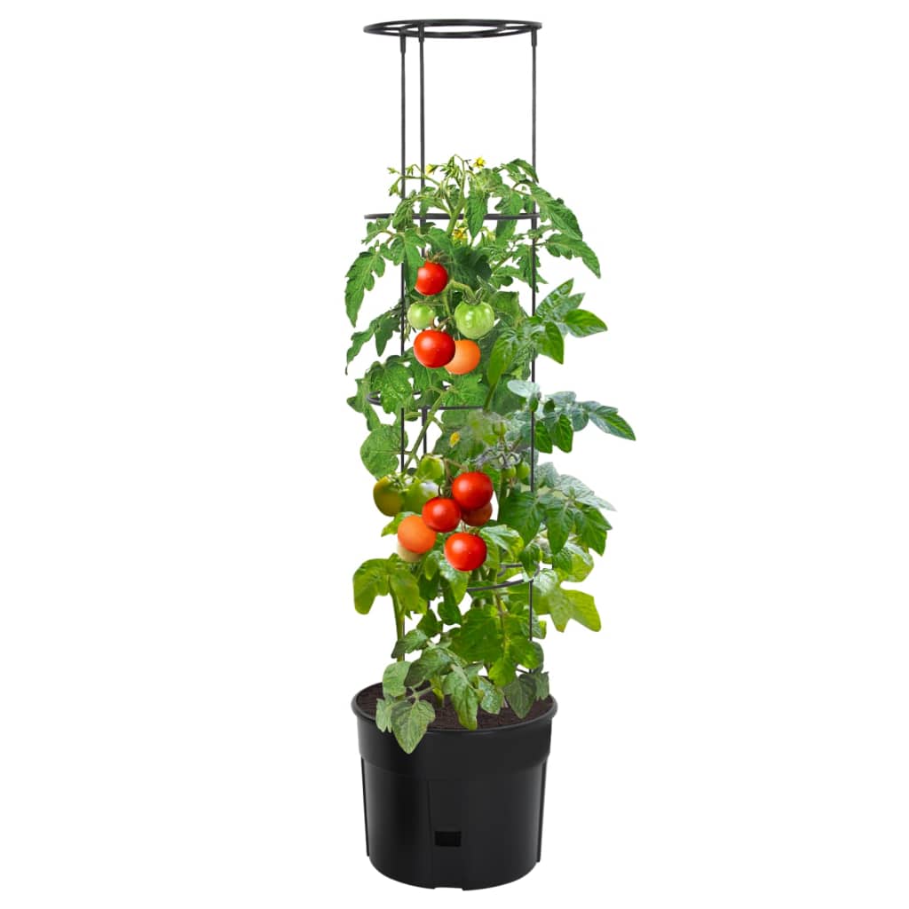 Macetero para tomates polipropileno gris antracita Ø39x150 cm