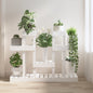 Suporte para plantas aço galvanizado antracite 100x54,5x100 cm
