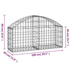 Cesta de gaviones forma arco hierro galvanizado 100x30x40/60 cm