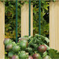 Plant stakes 20-pack dark green steel 40 cm