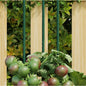 Plant stakes 20-pack dark green steel 40 cm