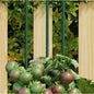 Plant stakes 20-pack dark green steel 40 cm