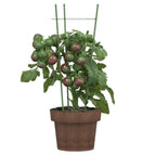 Soportes plantas jardín con 3 anillas 5 uds acero verde 45 cm