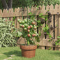 Plant supports garden with 3 rings 5 pcs steel green 45 cm