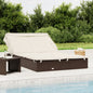 Tumbona 2 personas toldo plegable ratán PE gris 213x118x97 cm