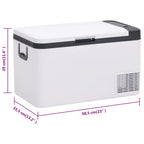 Cooler with PP and PE handle, black and white, 18 L