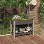 Canteiro de jardim com prateleira WPC cinzento 100x50x75 cm