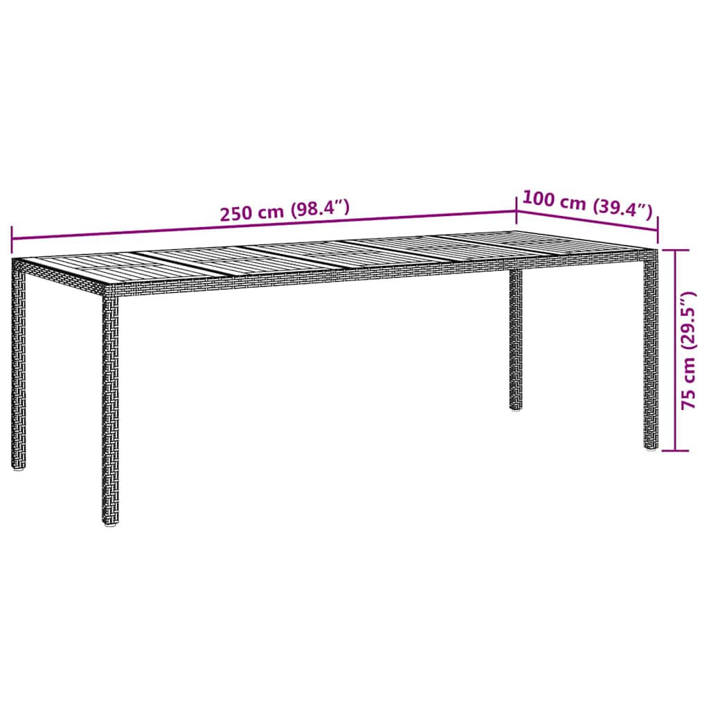 Mesa de Jardín Negro 250 x 100 x 75 cm ratán sintético