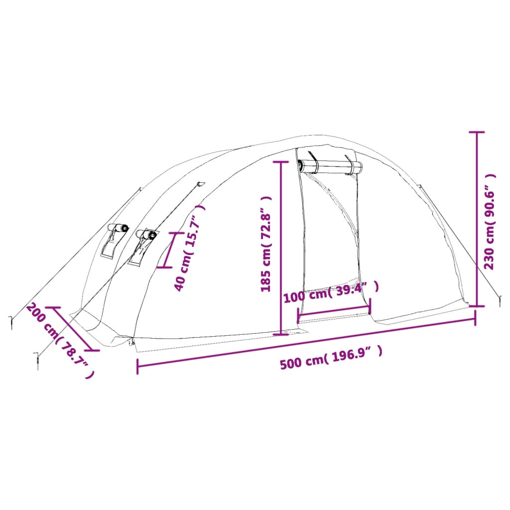 Invernadero con estructura de acero blanco 10 m² 5x2x2,3 m