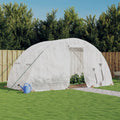 Invernadero con estructura de acero blanco 10 m² 5x2x2,3 m