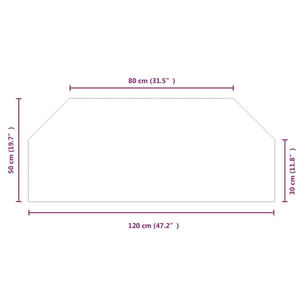 Placa de vidrio para chimenea Transparente 120 x 50 cm Cristal