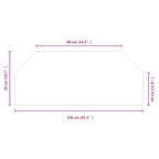 Placa de vidrio para chimenea Transparente 120 x 50 cm Cristal