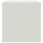 Armario archivador de acero gris claro 90x40x40 cm