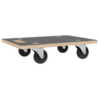 Carritos de transporte 2 uds rectangular 50x35x11,5 cm 250 kg