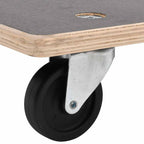 Carritos de transporte 2 uds rectangular 50x35x11,5 cm 250 kg