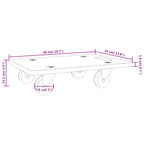 Carritos de transporte 2 uds rectangular 50x35x11,5 cm 250 kg