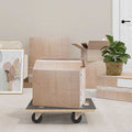 Carritos de transporte 2 uds rectangular 50x35x11,5 cm 250 kg