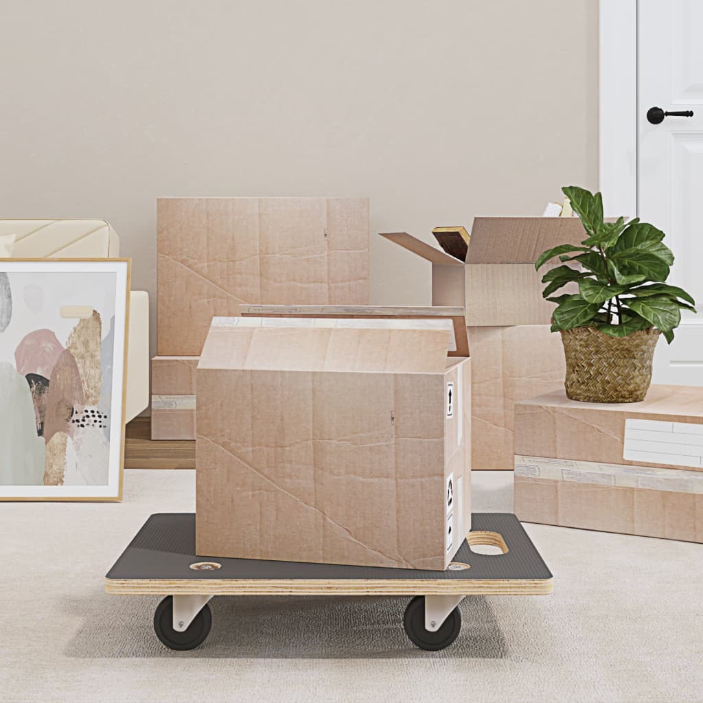 Transport trolleys 2 pcs rectangular 50x35x11.5 cm 250 kg