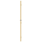 Golden interior door tempered glass and aluminum 76x201.5cm