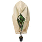 Cubierta para plantas con cremallera 10 uds 70 g/m² 1,55x1,55 m