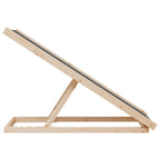 Rampa para perros madera maciza de abeto gris 100x40 cm