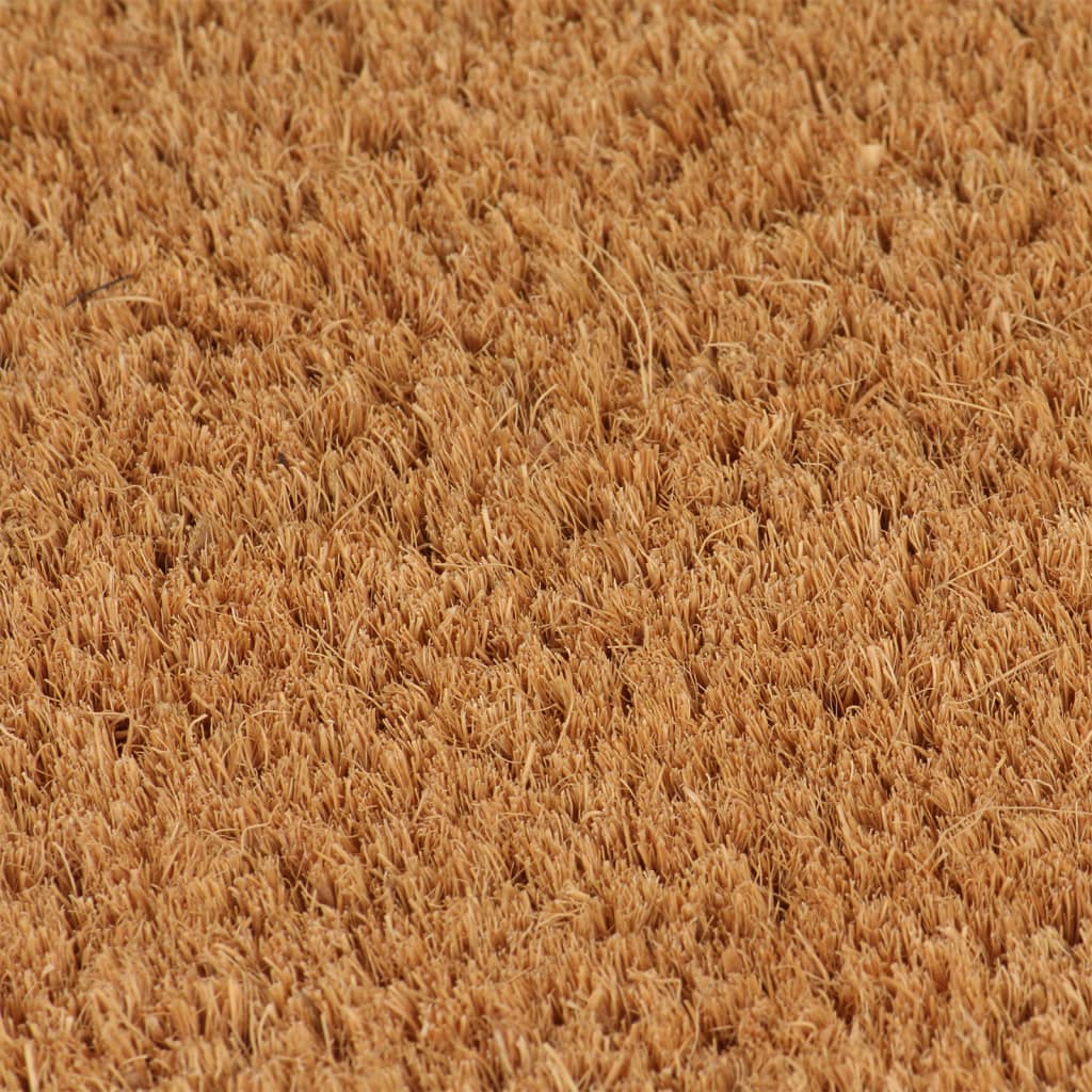 Felpudo de fibra de coco copetuda 40x60 cm