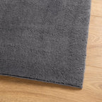 Alfombra de pelo corto suave lavable HUARTE antracita 100x200cm