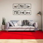 Alfombra de pelo corto suave lavable HUARTE antracita 100x200cm