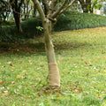 Rollo de yute 0,25x10 m 100% yute 200 gsm