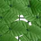 Pantalla de balcón de hojas verde 200x100 cm