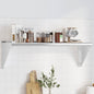 Wall shelf stainless steel silver 100x23.5x60 cm