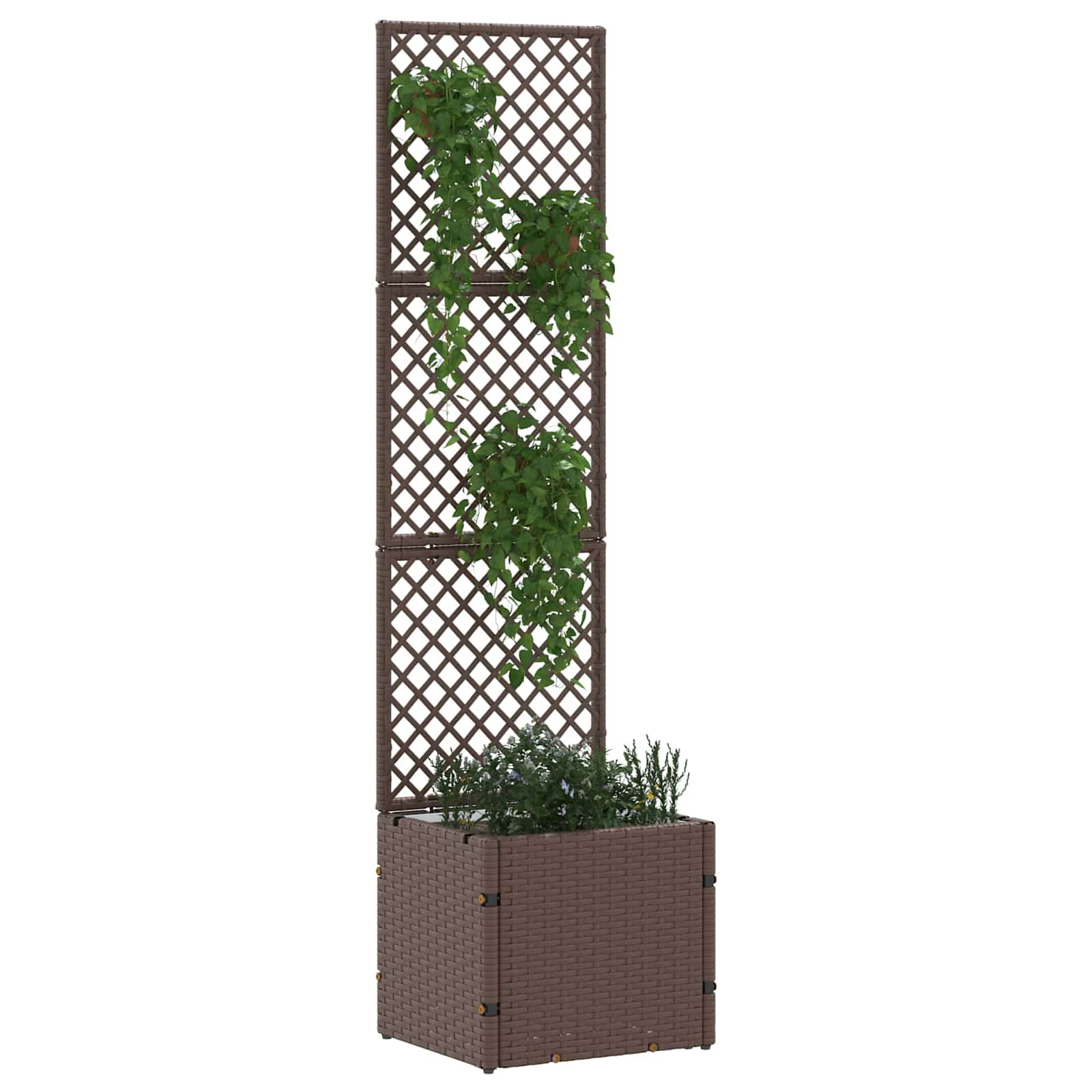 Jardín enrejado macetero Marrón 35 x 30 x 135 cm Metal