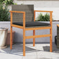 Garden chairs and cushions 2 pcs grey PE rattan and solid wood