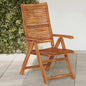 Garden chairs and cushions 2 pcs grey PE rattan and solid wood
