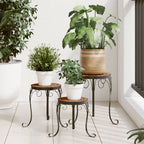 Soporte para plantas trepadoras 3 uds hierro negro 40x100 cm