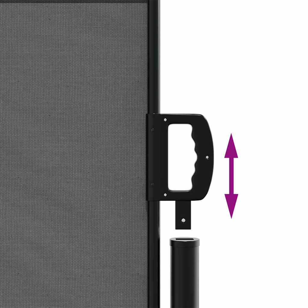 Toldo lateral retráctil antracita 100x300 cm