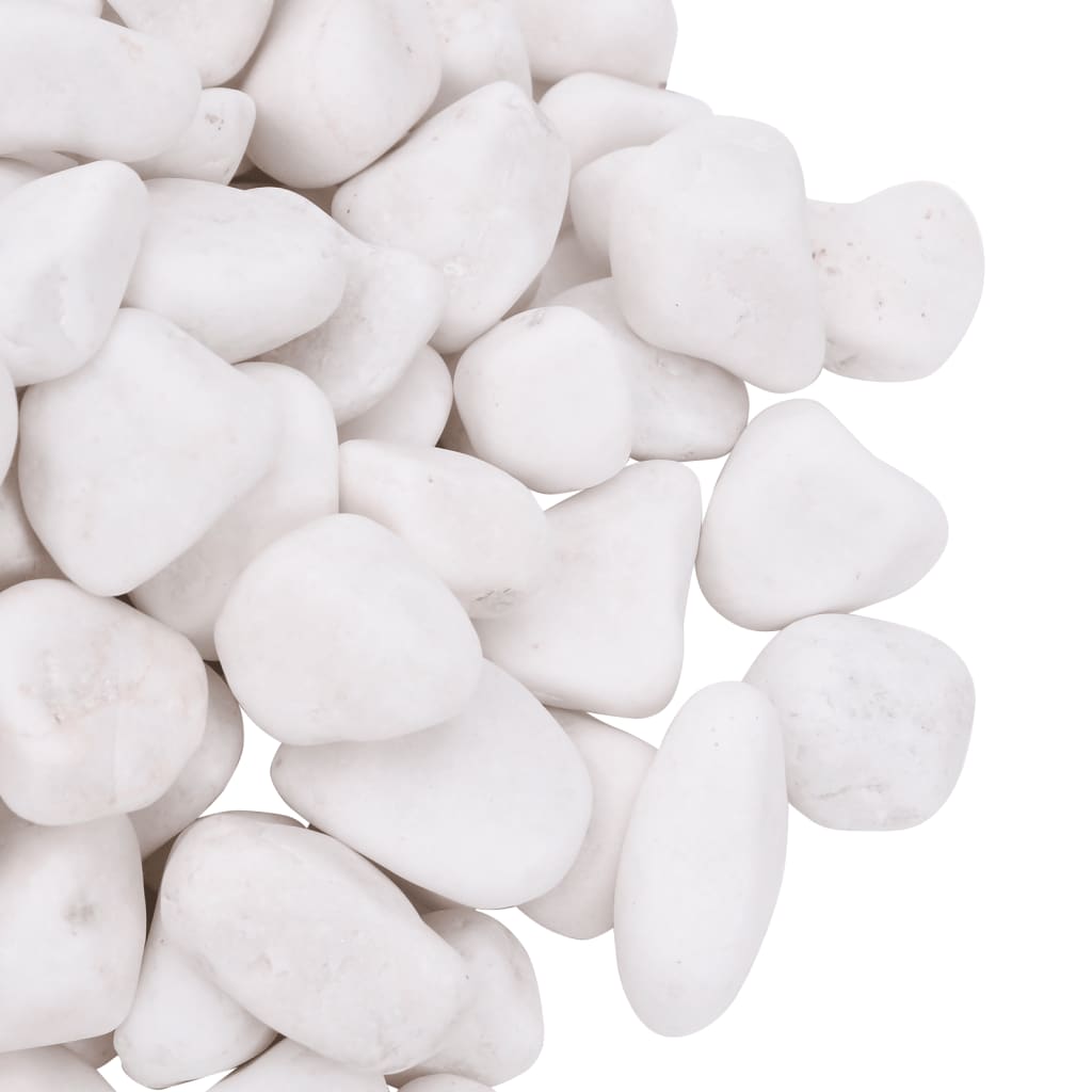 Guijarros pulidos blancos 25 kg 2-5 cm