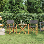 Sillas de director 2 uds madera maciza de teca gris