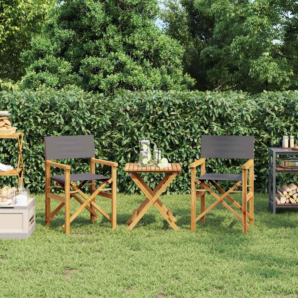 Sillas de director 2 uds madera maciza de teca gris