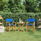 Sillas de director 2 uds madera maciza de teca gris