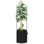 Tutor para tomates 2 unidades acero y PP 116 cm