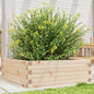 Jardinera 4 niveles madera maciza de pino blanca 80,5x79x36 cm