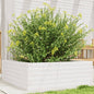 Jardinera 4 niveles madera maciza de pino blanca 80,5x79x36 cm