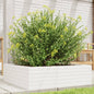 Jardinera 4 niveles madera maciza de pino blanca 80,5x79x36 cm