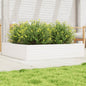 Jardinera 4 niveles madera maciza de pino blanca 80,5x79x36 cm
