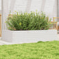 Jardinera 4 niveles madera maciza de pino blanca 80,5x79x36 cm